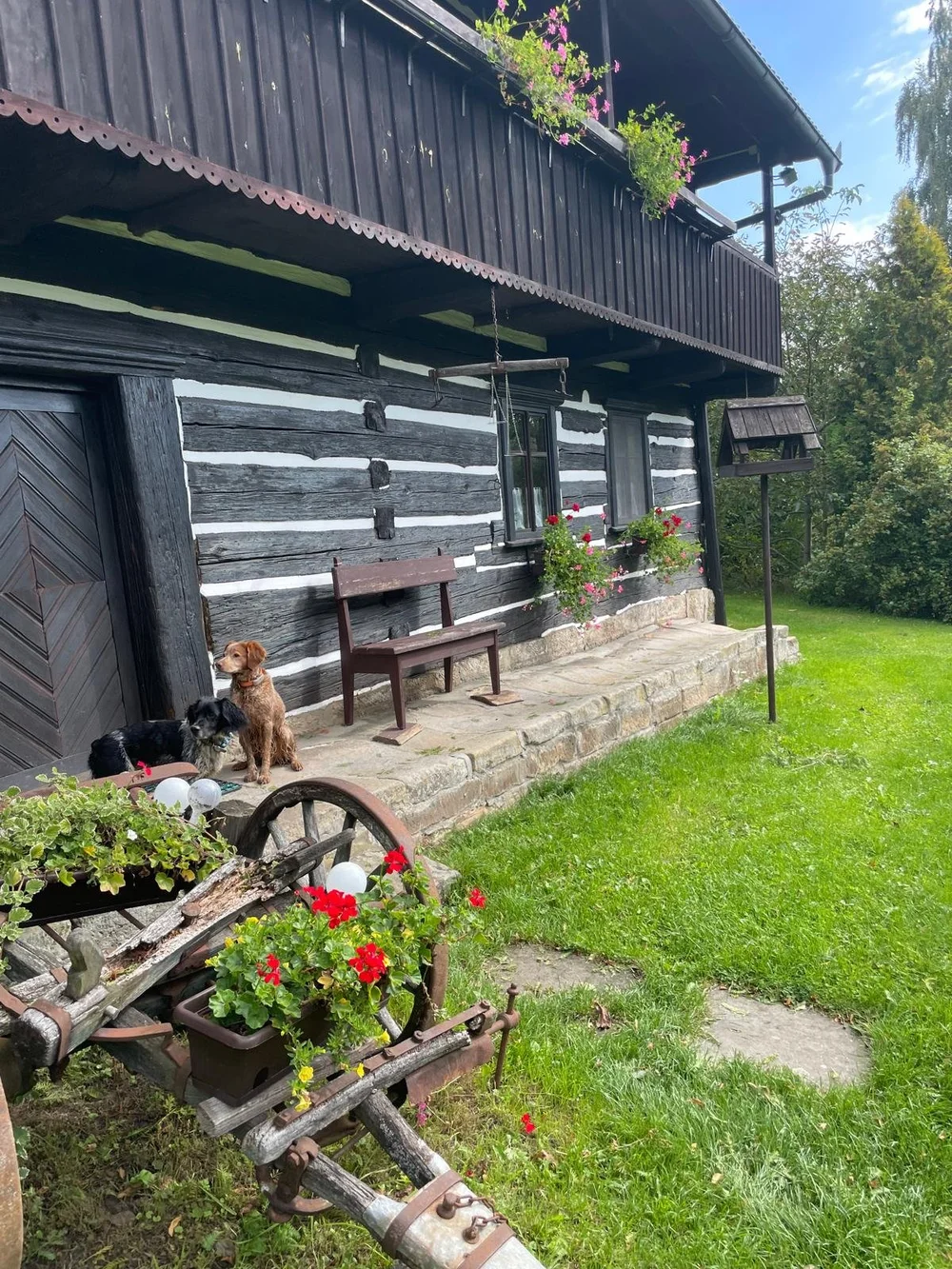 Černobílá roubenka se psy na zahradě
